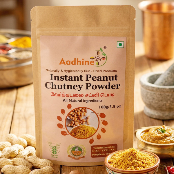 Aadhine Instant Peanut Chutney Mix